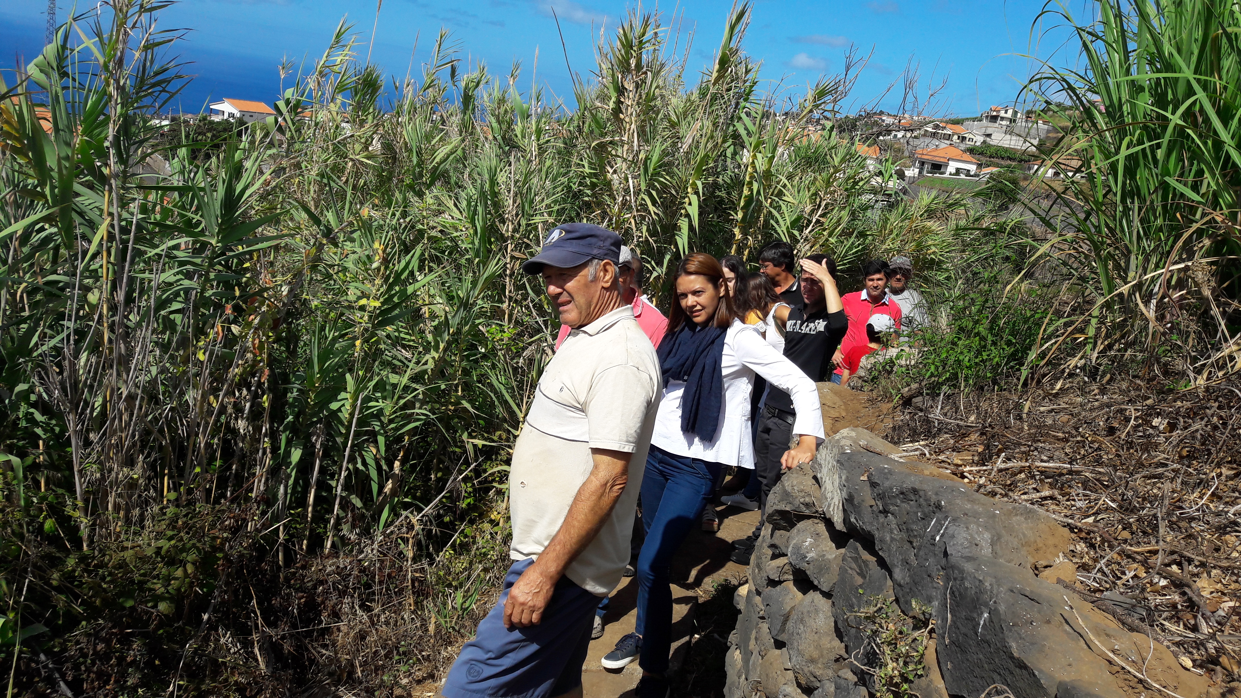 Célia Pessegueiro promete arranjar vereda 27 do Caminho do Castanheiro, na Ponta do Sol