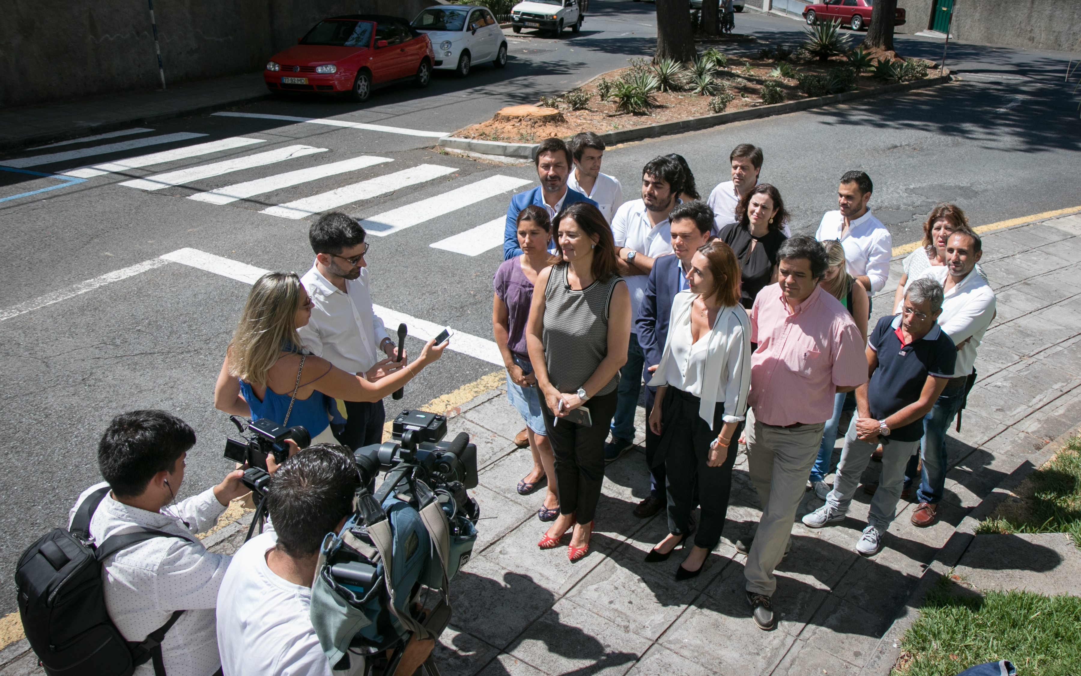 Rubina Leal critica CMF por corte “indiscriminado” de árvores