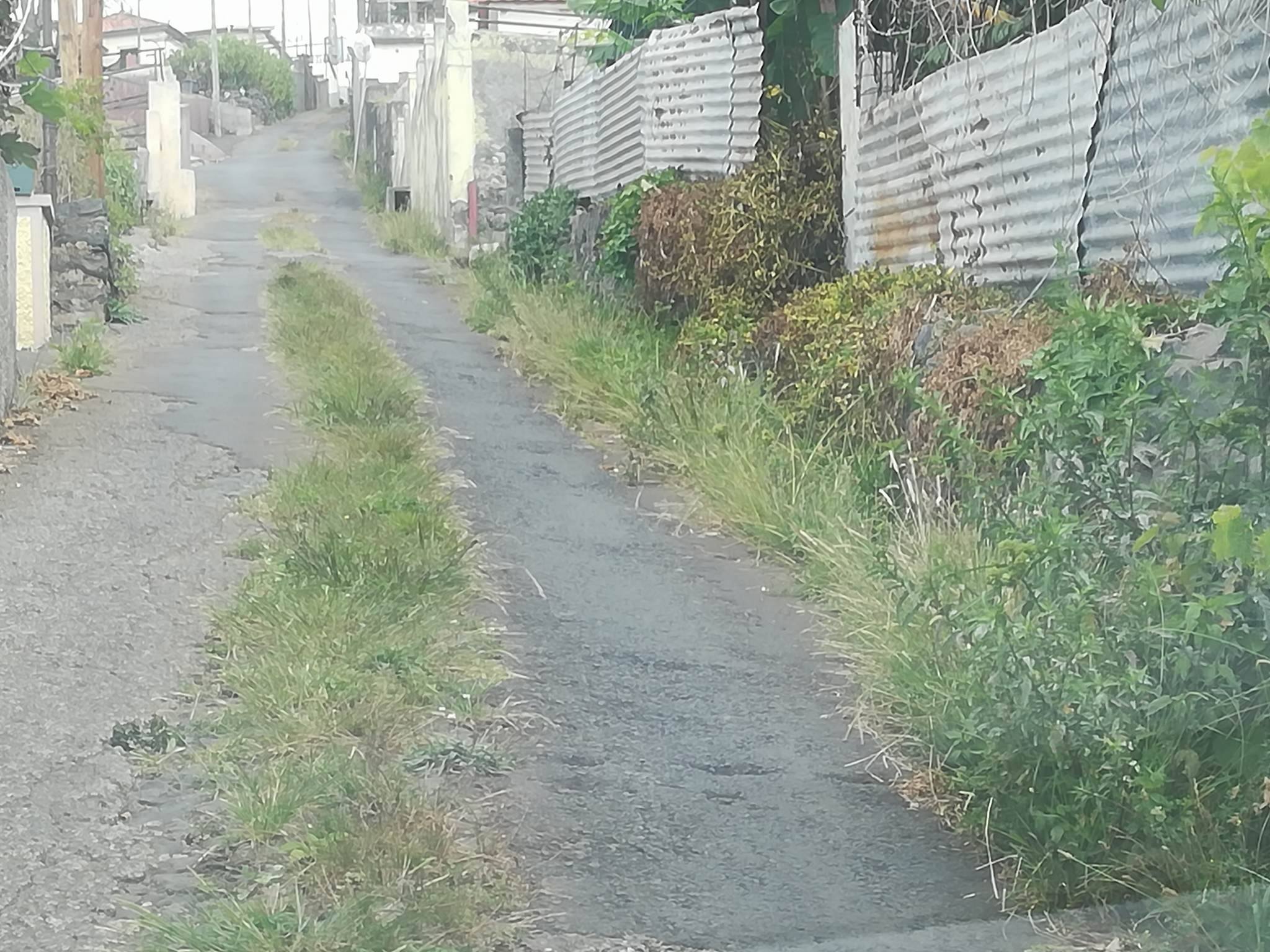 “Somos Todos Monte” recomenda uso de pesticidas naturais