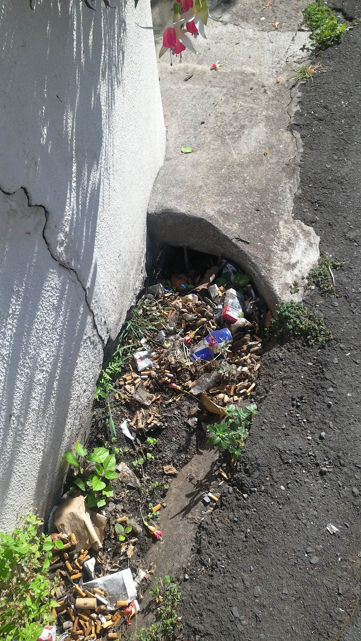 “Somos Todos Monte” a pensar no inverno preocupado com falta de limpeza das sargetas