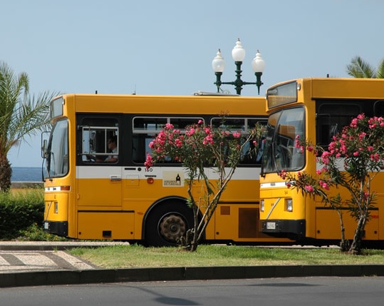 “Funchal Forte” diz que a CMF está a ser irresponsável ao “marinar” no assunto dos transportes públicos de passageiros