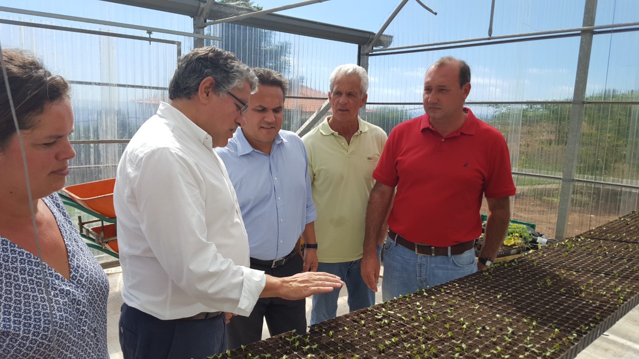Humberto Vasconcelos entrega amanhã árvores a agricultores