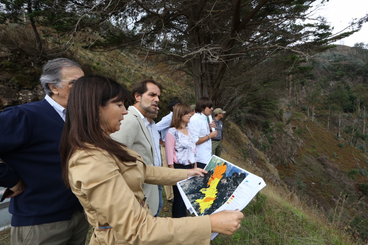 Governo cria área de corta-fogo para proteger o Funchal