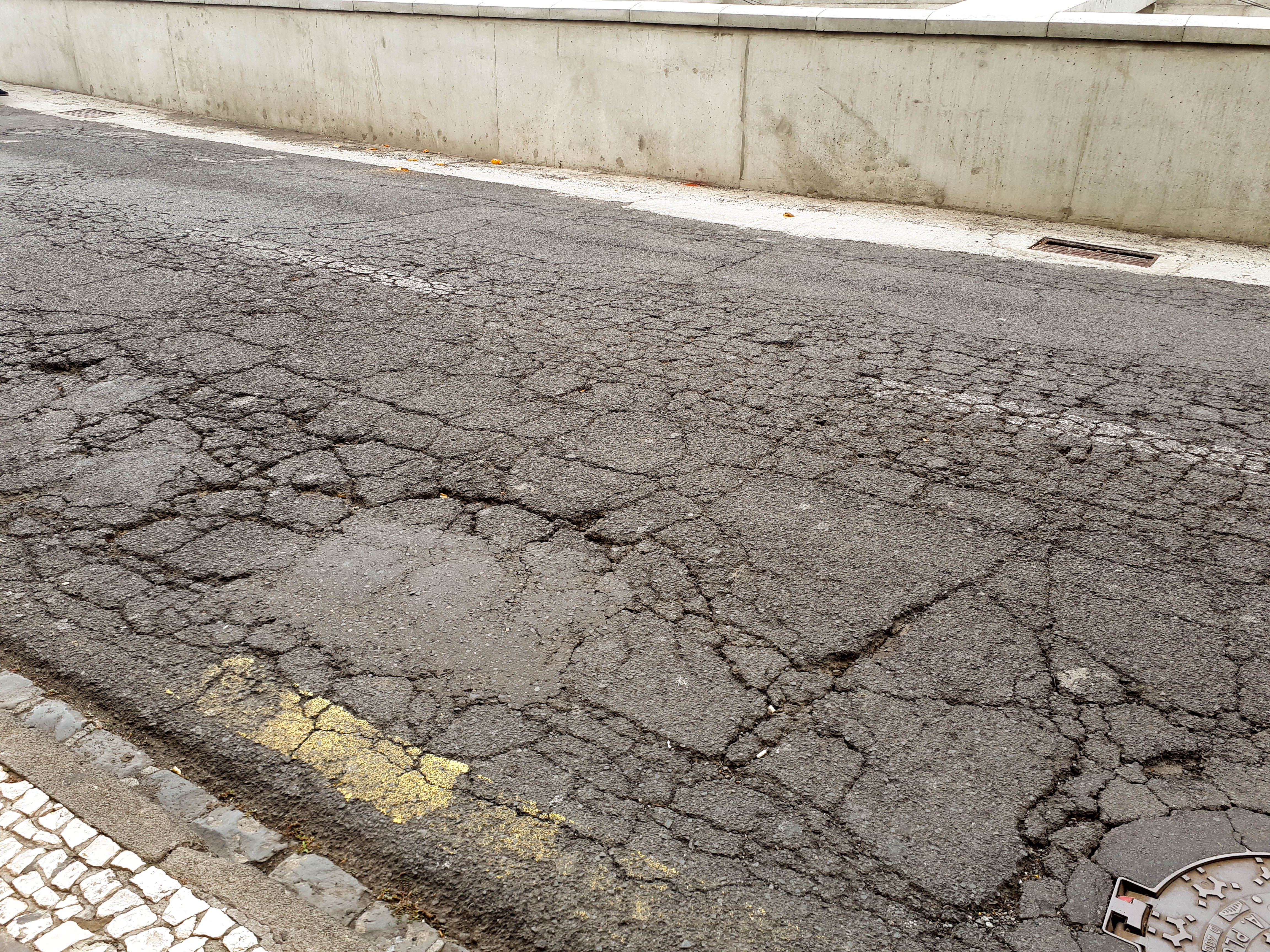 “Nós, Cidadãos” denuncia estado de degradação das estradas da Região e do Funchal em particular