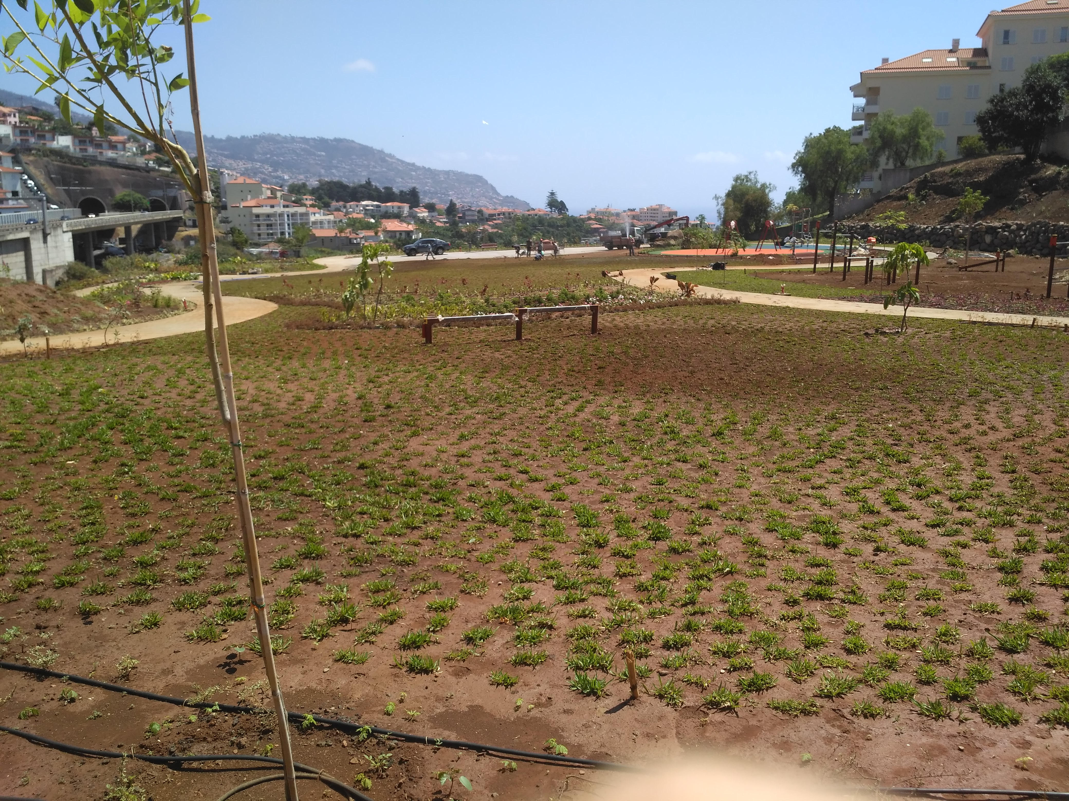 Miguel Albuquerque inaugura amanhã Jardim das Madalenas