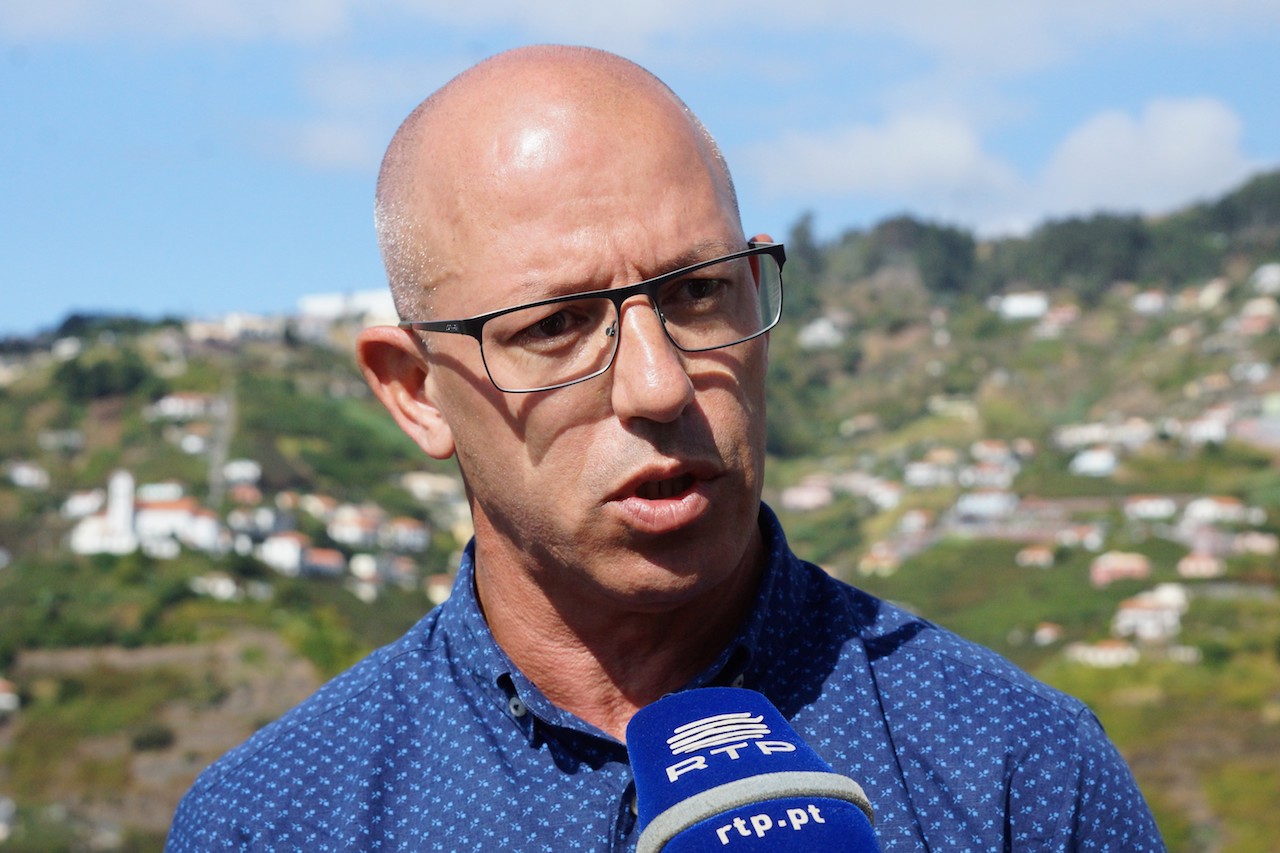 CDS-PP critica recolha de uma matilha de cães em residência camaralobense