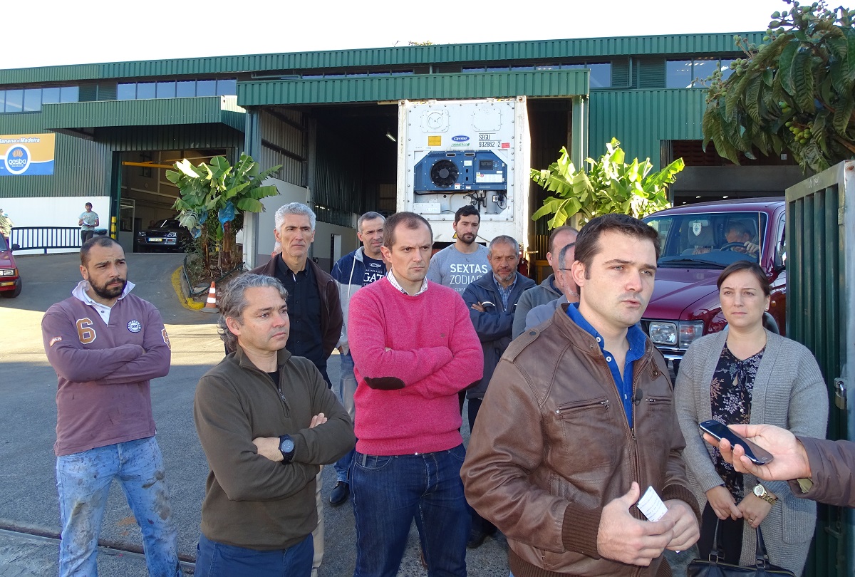 JPP quer maior transparência na pesagem e selecção da banana da Madeira