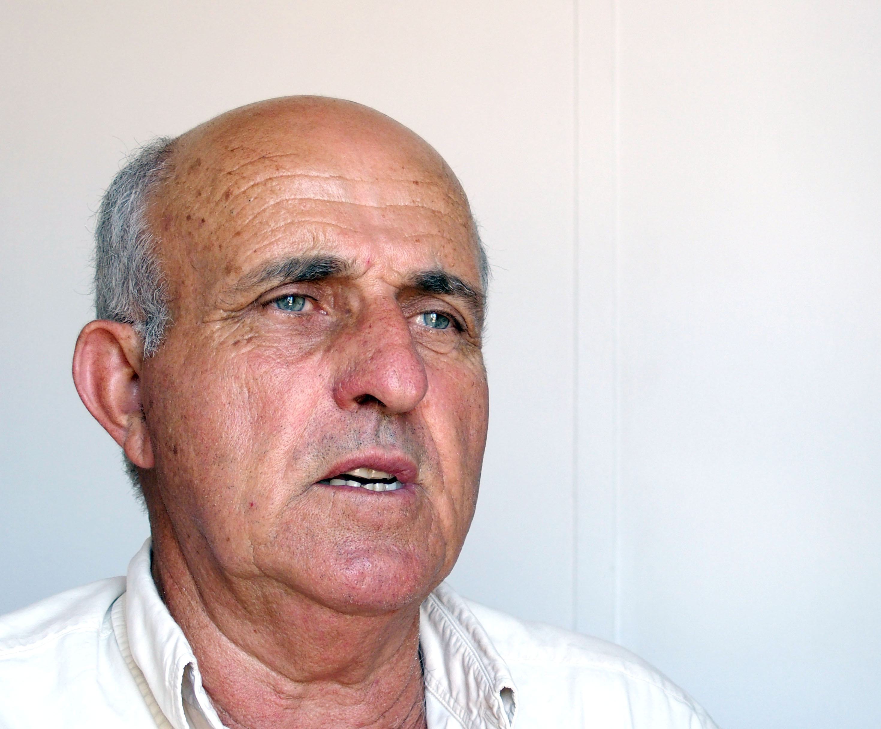PTP critica ajudas do Estado a habitação para juízes e magistrados do MP