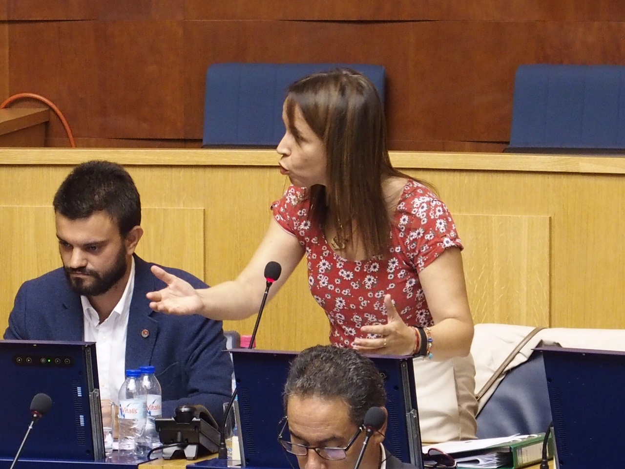 CDU avança com dois diplomas na Assembleia Regional sobre a problemática dos idosos