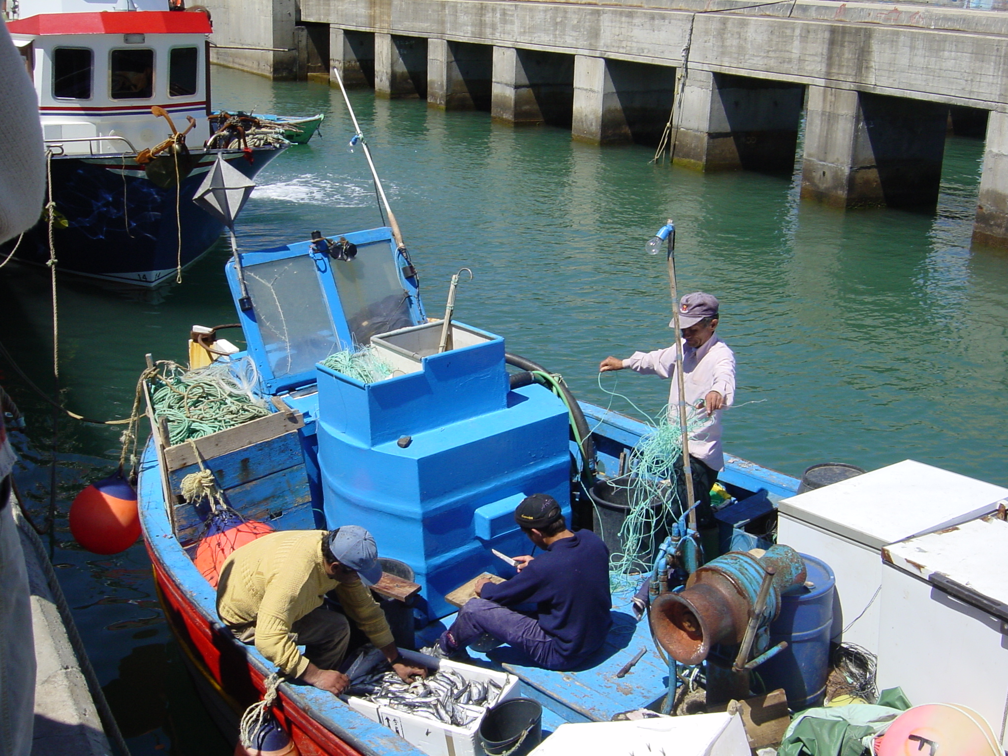 CDU reivindica fundo de apoio aos pescadores