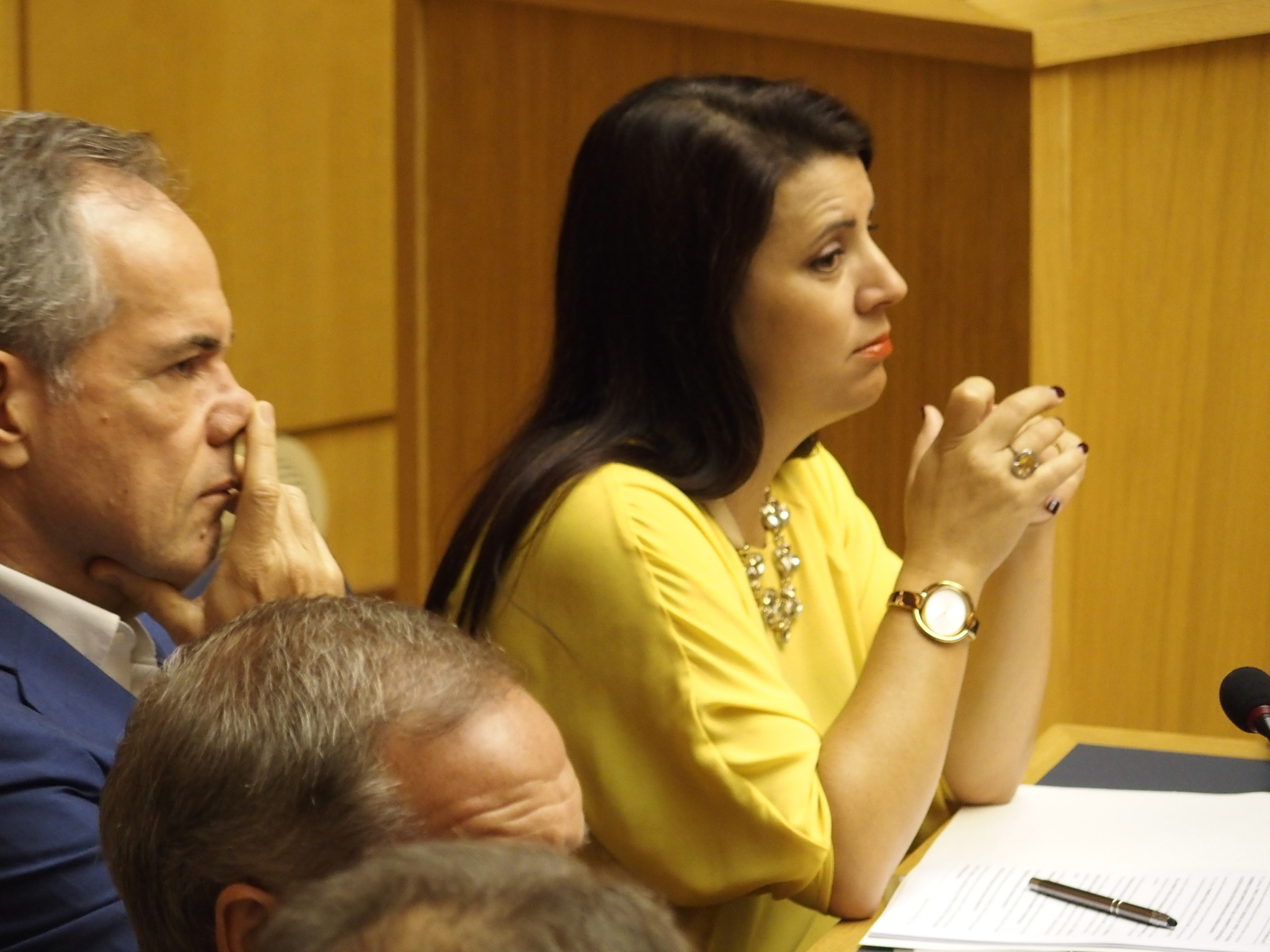 Nivalda Gonçalves vai presidir às Sociedades de Desenvolvimento