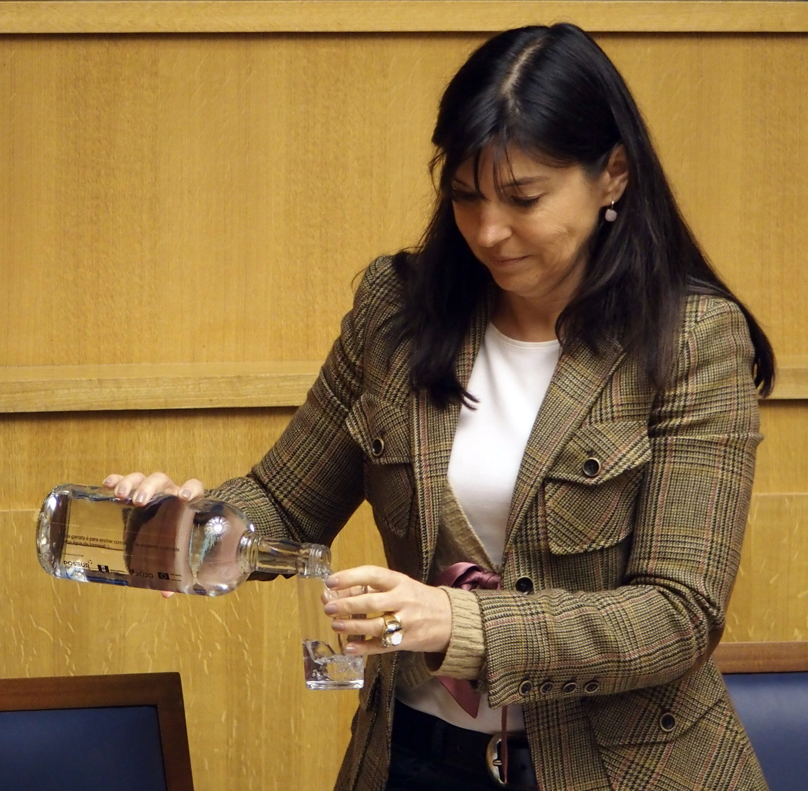 Susana Prada apresentou na ALRAM novo regime de extracção de inertes