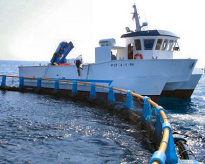 Assunção Cristas na Madeira a convite da Ilha Peixe