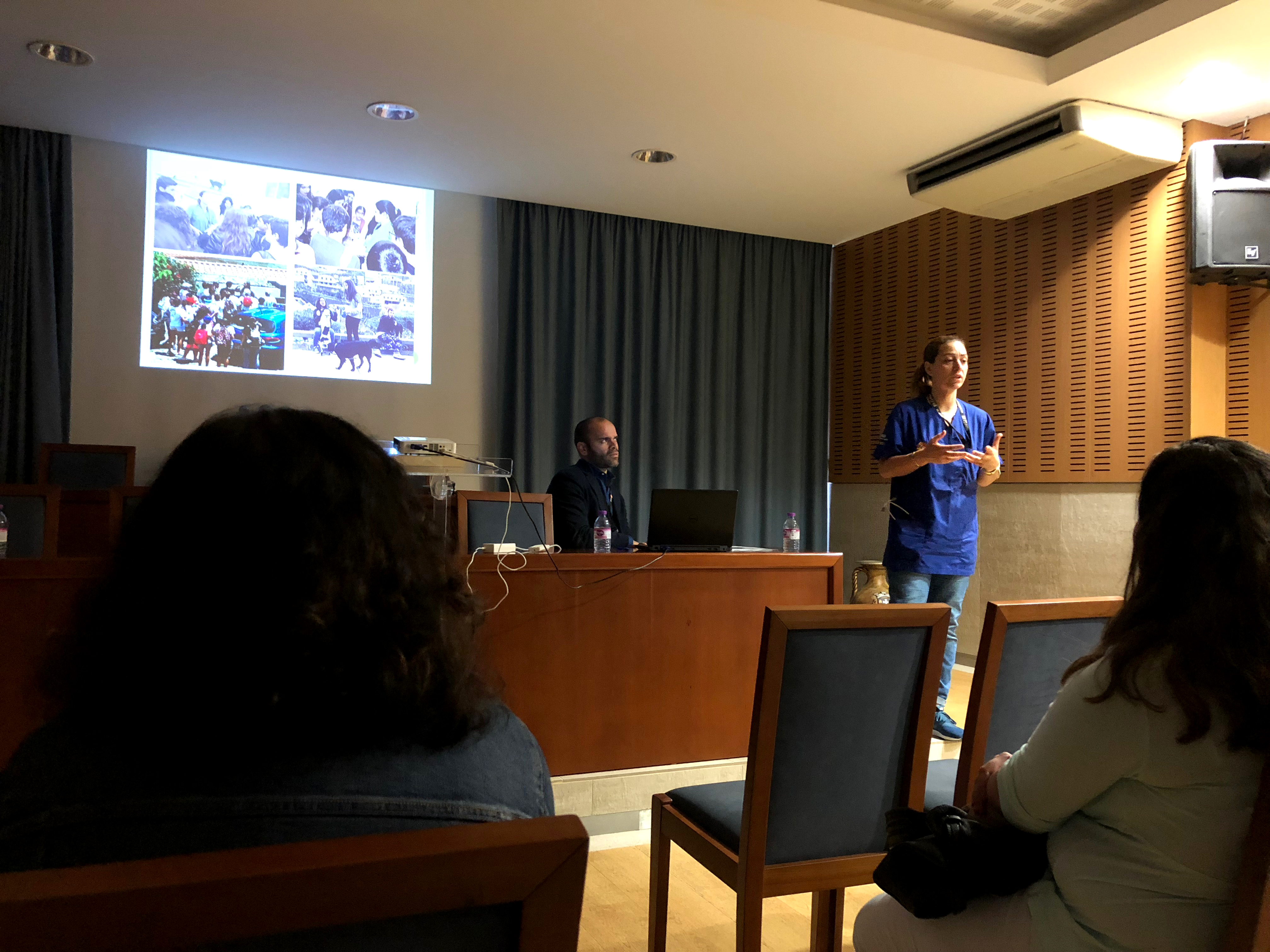 Junta de Freguesia de Santo António com projeto de bem-estar animal