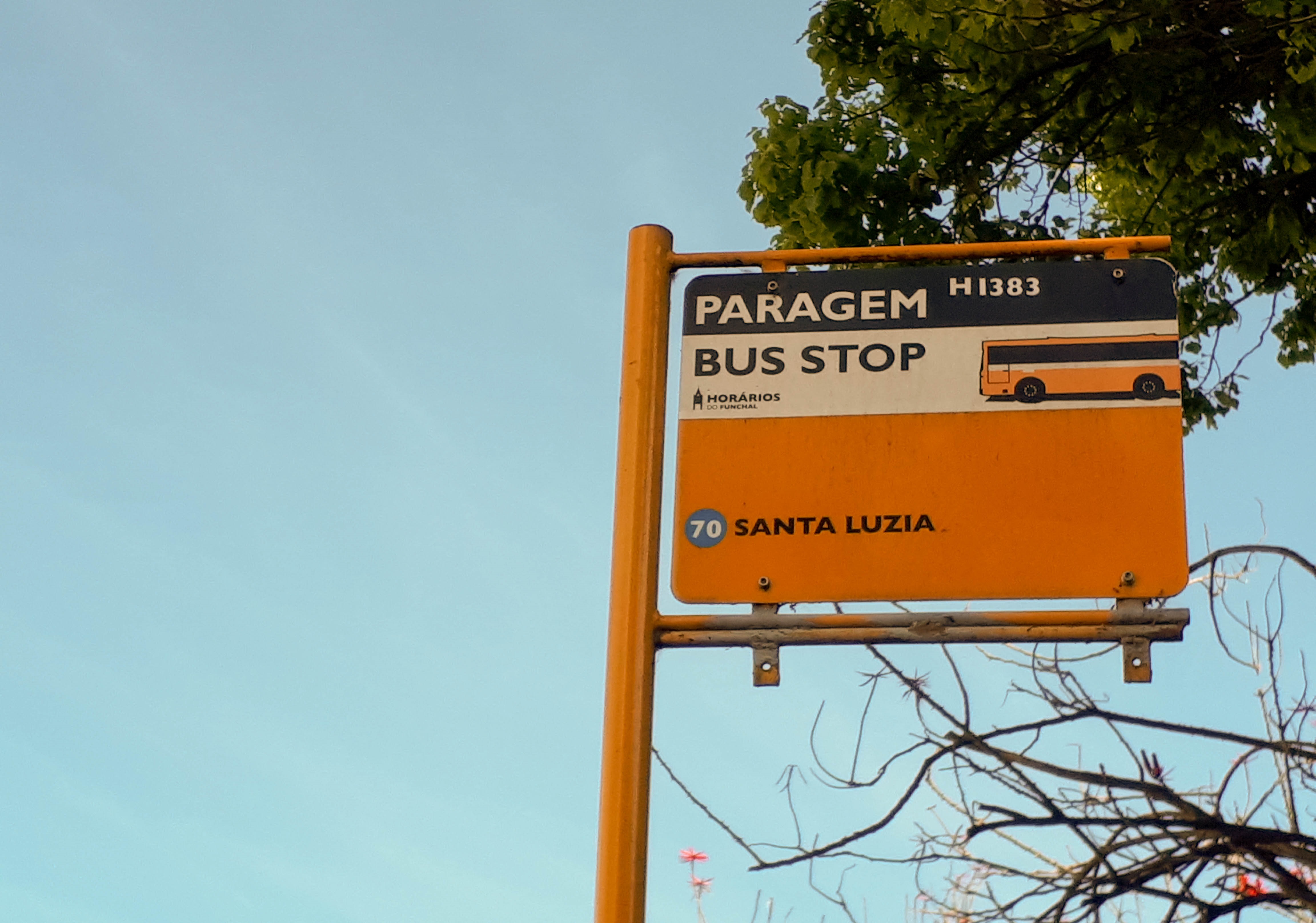 “Nós, Cidadãos!” reclama transporte rodoviário gratuito para crianças até aos 12 anos