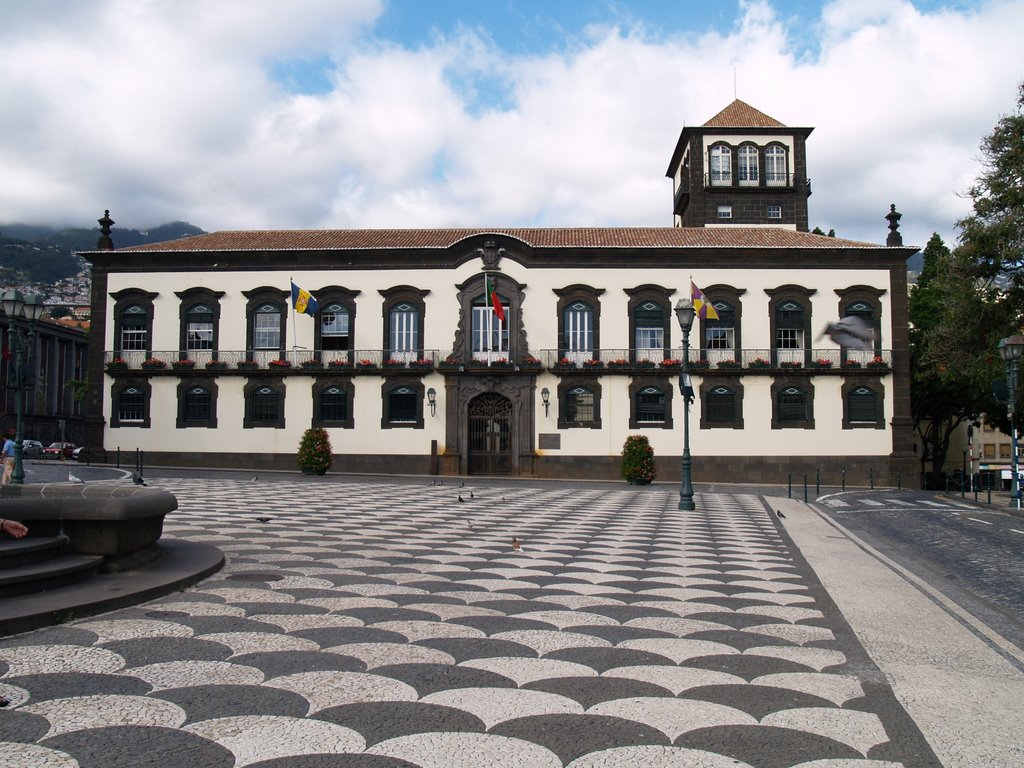 Câmara do Funchal vai hastear amanhã a bandeira de Município Amigo do Desporto