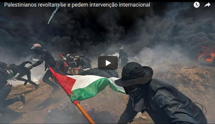 Palestinianos revoltam-se e pedem intervenção internacional [vídeo]