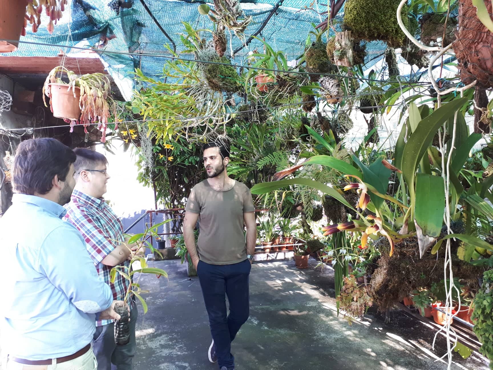 JP organizou fim-de-semana temático sobre Cultura e visitou colecção de orquídeas