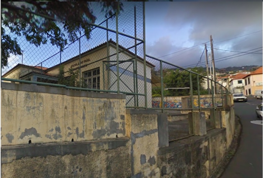 Centro de esterilizações inaugurado amanhã no Funchal
