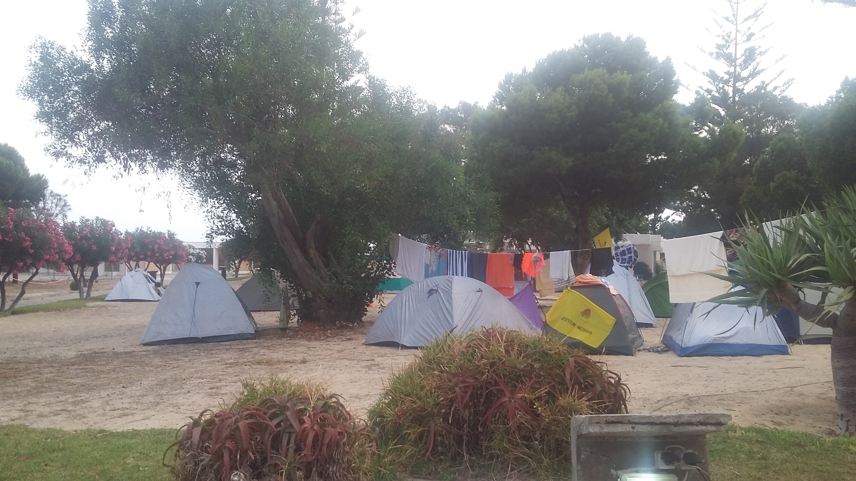 JS-M organiza XVII acampamento regional na Ilha Dourada