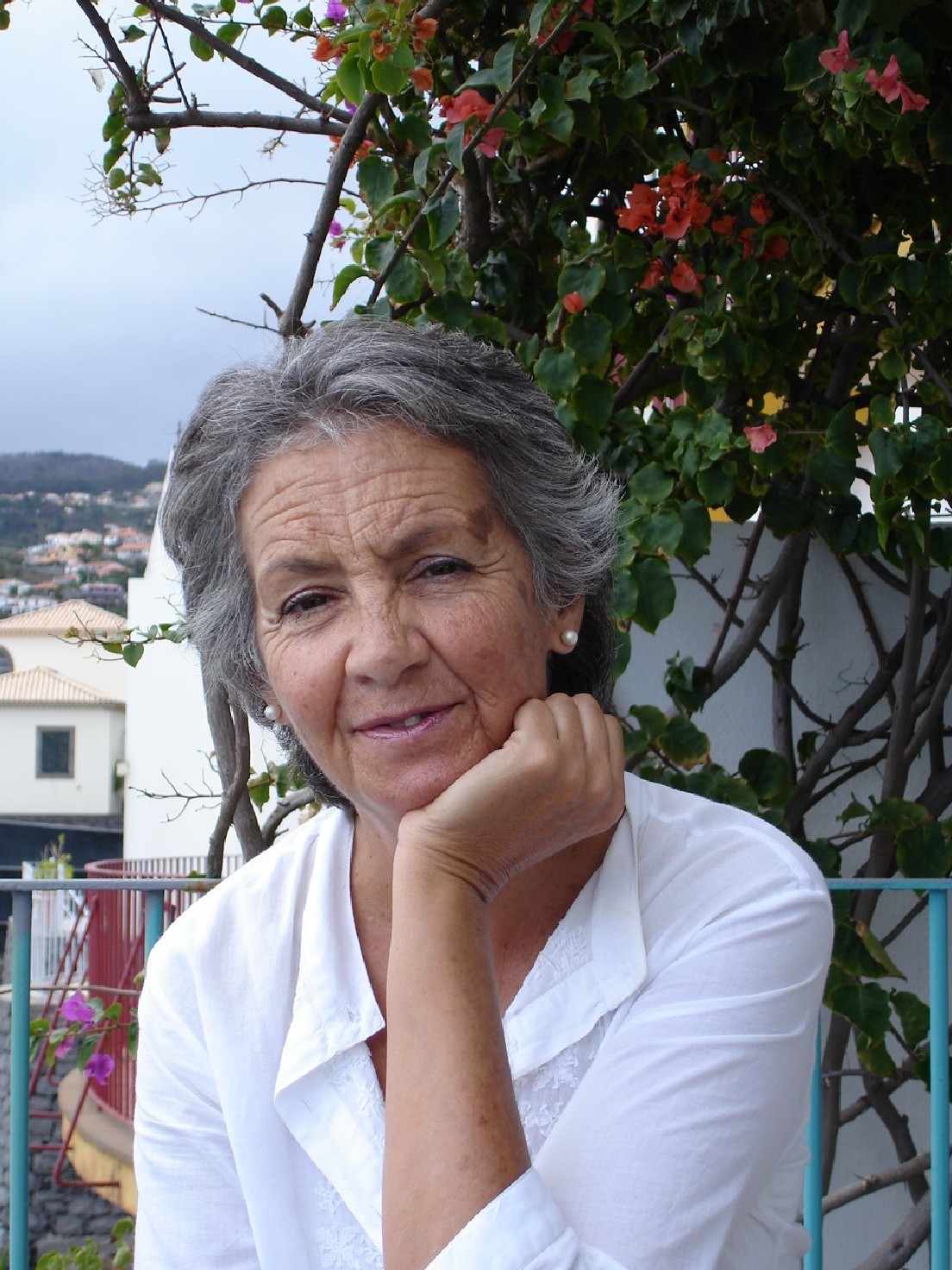 Violante Saramago Matos aposta em série literária para crianças