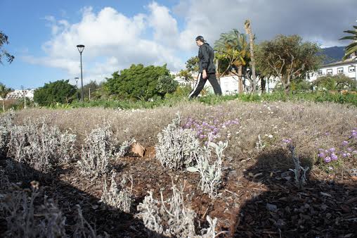 Jardins da Praça do Povo sem manutenção