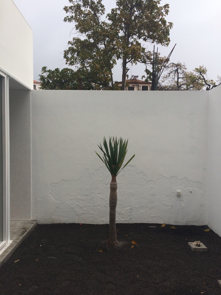 Exposição na Ordem dos Arquitectos a 5 de Fevereiro