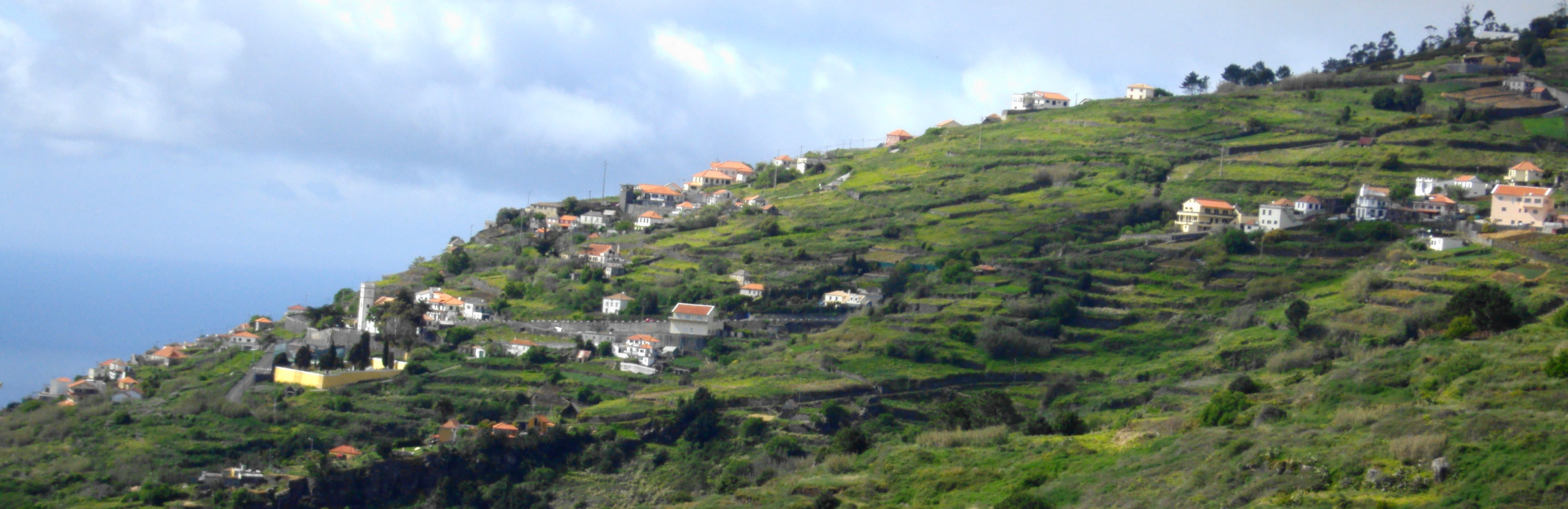 Cada agricultor da Calheta vai receber 2,5 kg de raticida