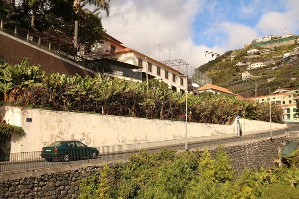 Arte urbana chega à Ponta do Sol: Bora lá, pintar paredes… com arte!