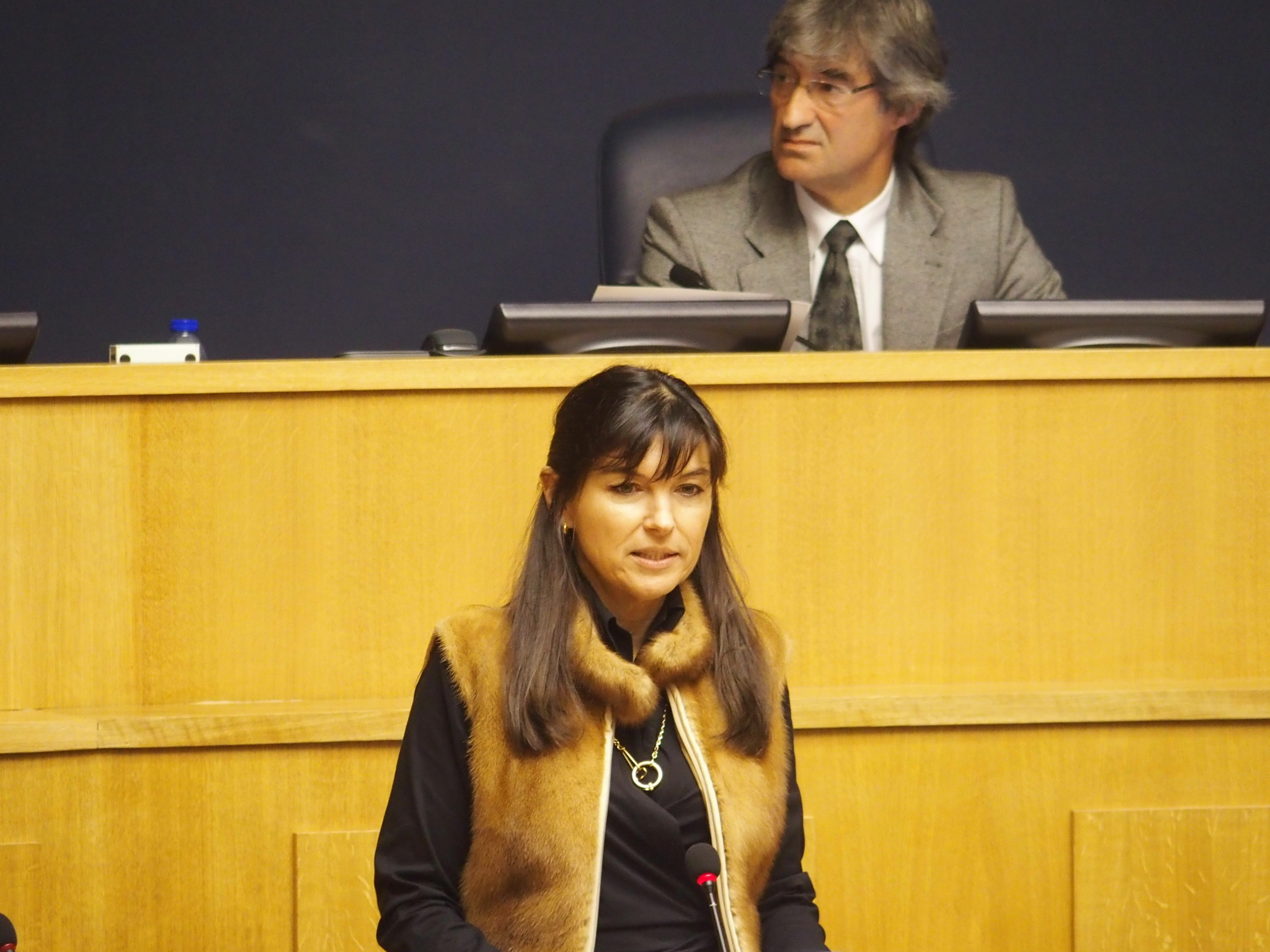 Susana Prada apresenta novo Instituto e enfrenta críticas à nomeação do conselho directivo