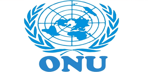 A ONU procura em Bona um plano para implementar as medidas da COP21 (vídeo)