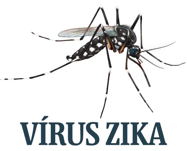 Presidente da Câmara do Rio de Janeiro diz que Zika “não é um grande problema” (vídeo)