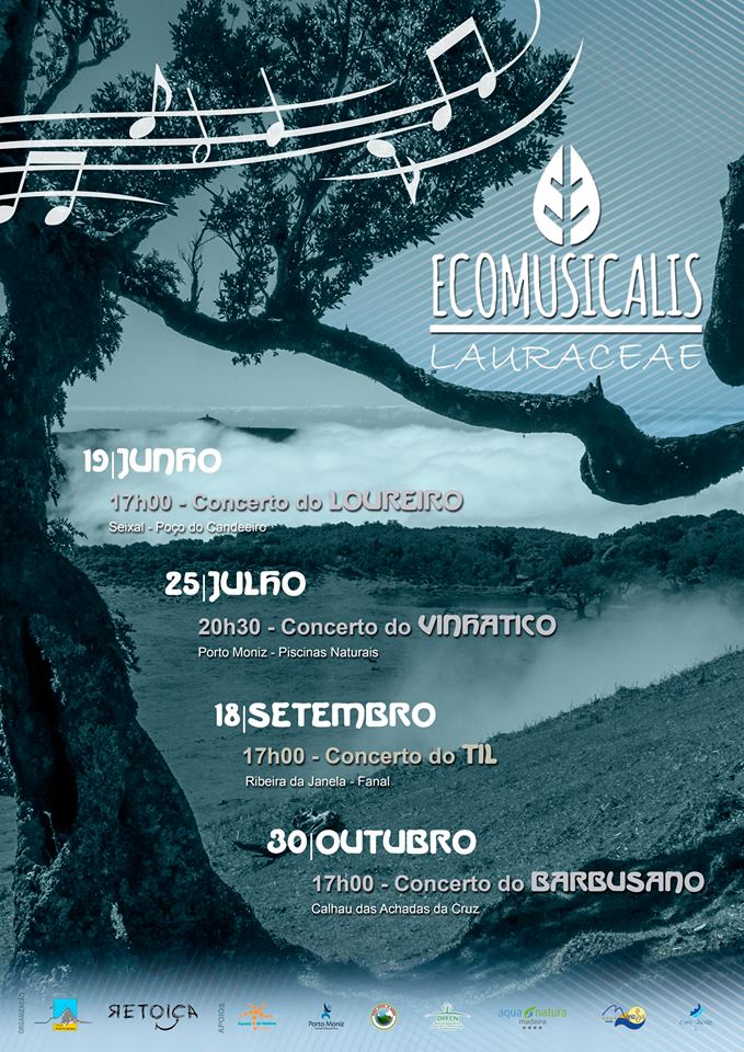 Concerto domingo no coração da laurissilva