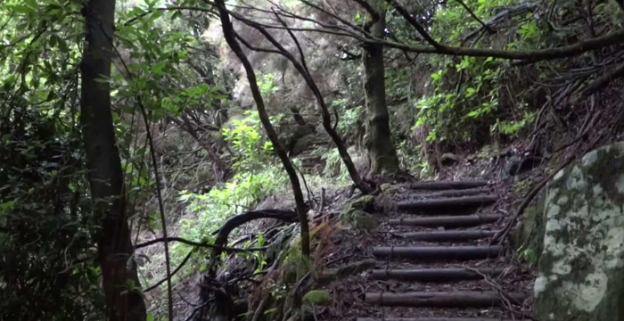 Miguel Albuquerque hoje na Levada dos Cedros-Fanal
