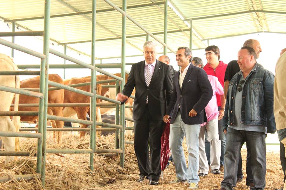 PS-M acusa Governo Regional de desaproveitar 4 milhões para as pescas