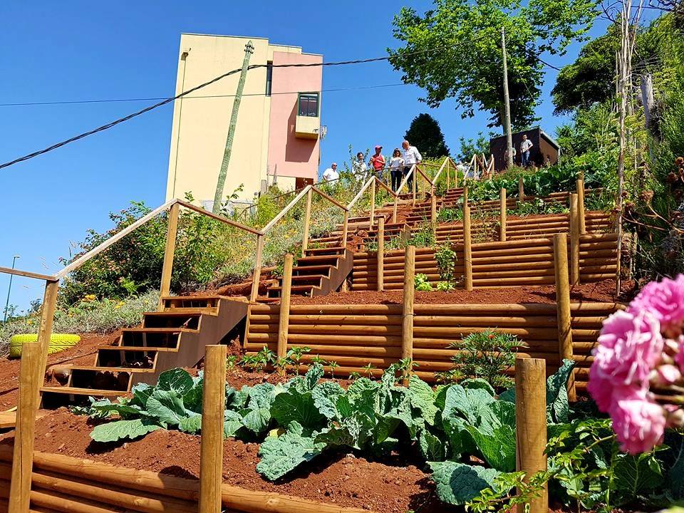 Secretário de Estado das Autarquias Locais visitou ‘Pomar Comunitário’ no Palheiro Ferreiro