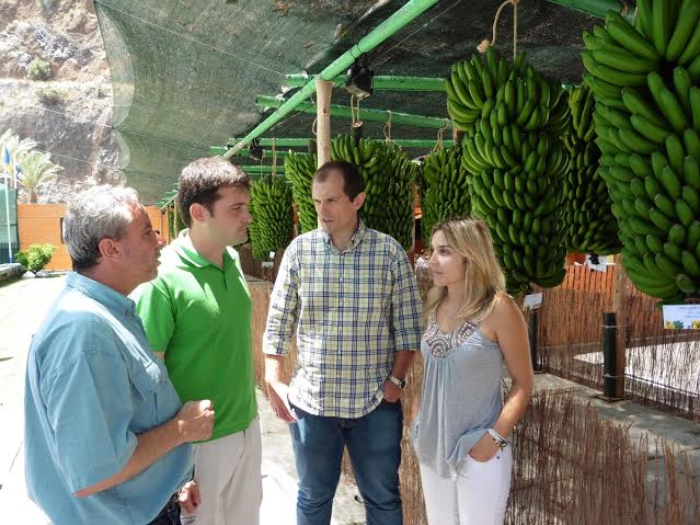 JPP na mostra da banana na Madalena do Mar