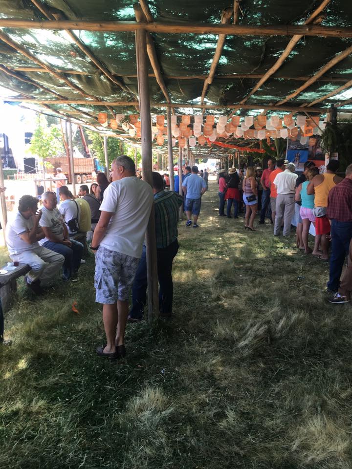 Vento estraga, mas a máquina do PSD tem a Herdade do Chão da Lagoa pronta para a festa