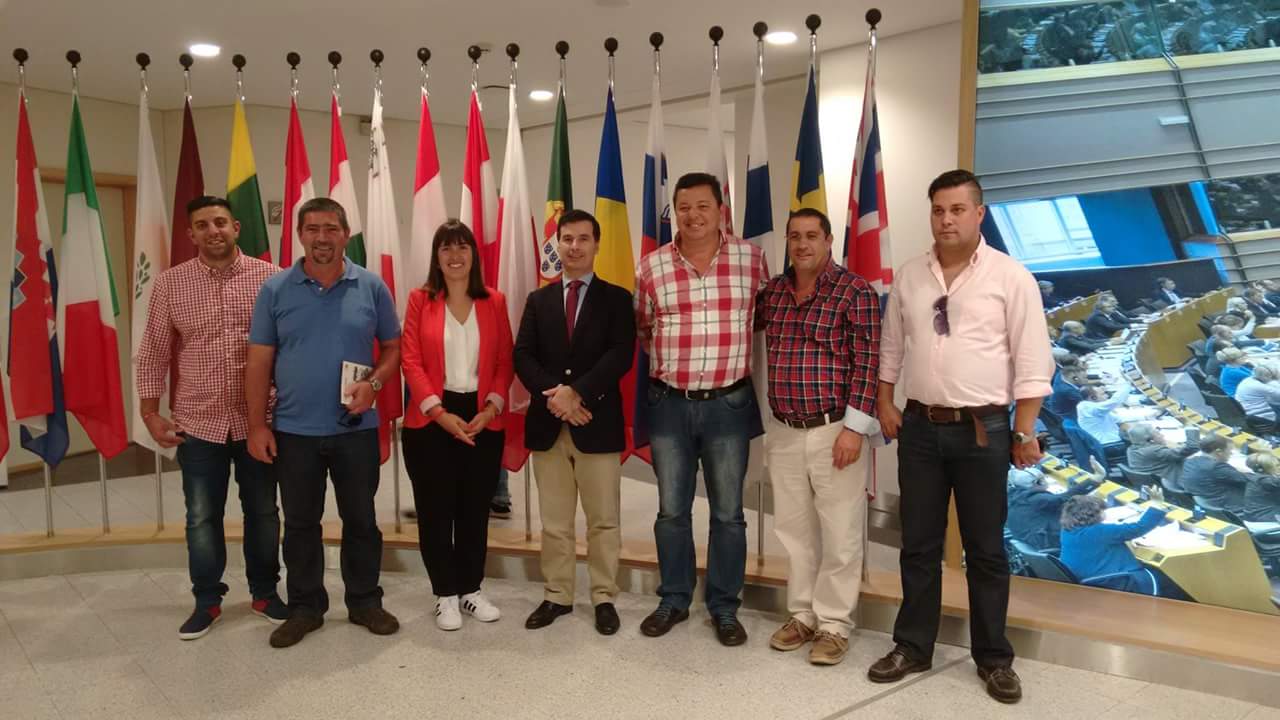 MPT congratula-se com “recuo de Bruxelas” em relação às quotas de pesca