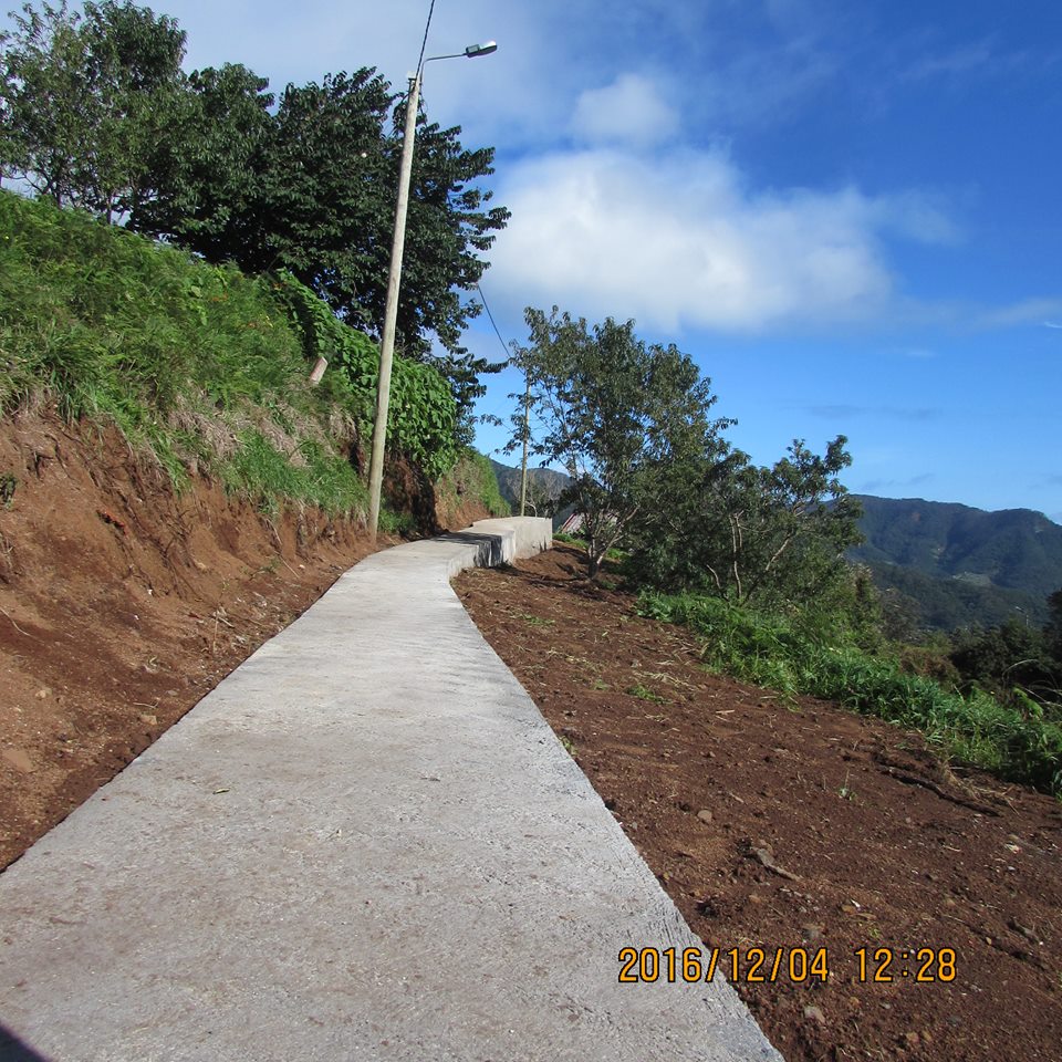 Junta do Santo da Serra (Machico) recupera vereda