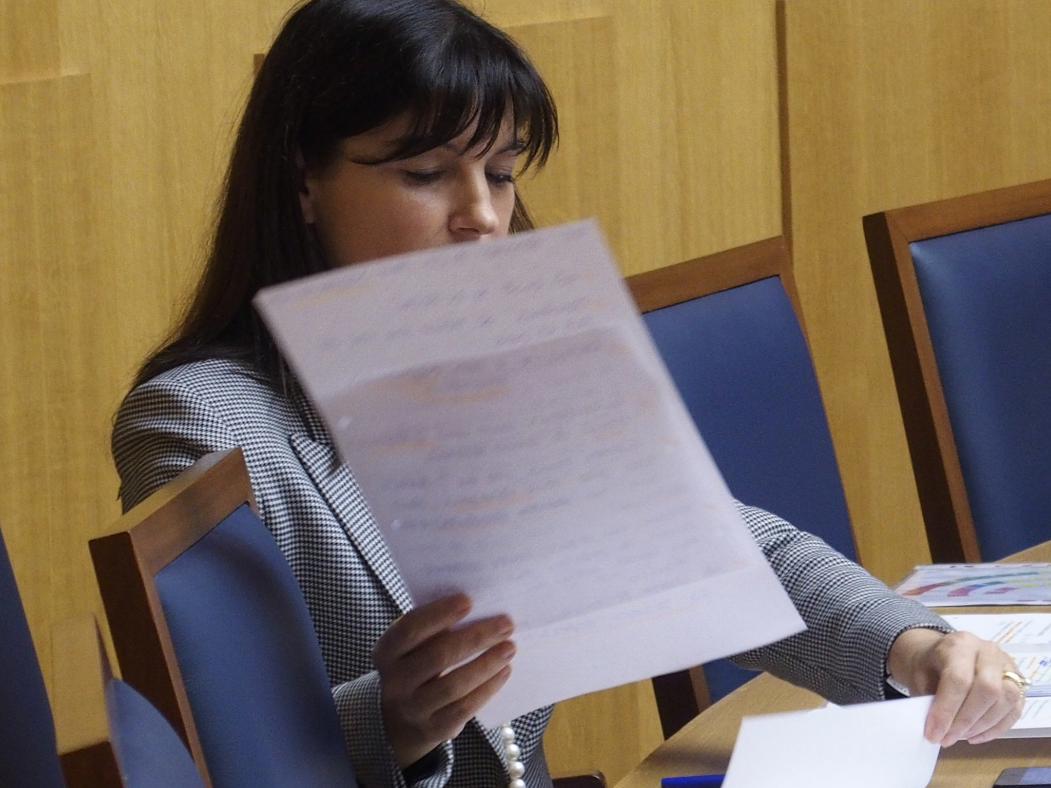 Susana Prada traz gestão territorial à apreciação do parlamento