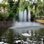 ‘Paisagem’ em debate no Baltazar Dias