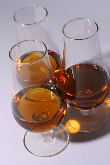 AMC/CGM enaltece criação da Rota do Vinho da Madeira