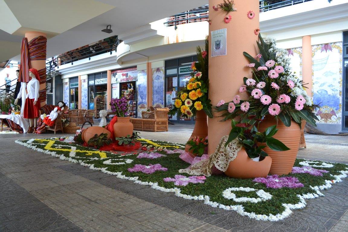 Descentralização da Festa da Flor foi bem conseguida