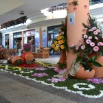Descentralização da Festa da Flor foi bem conseguida