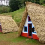 Parque Temático da Madeira mostra as técnicas tradicionais da cobertura em colmo