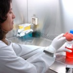 Centro de Química da Madeira acolhe palestra sobre ‘A segunda geração de Biocombustíveis’