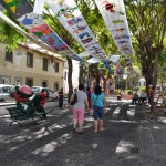 “Imaginolândia”: Um Mundo a descobrir na Ribeira Brava