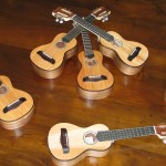Entrega de braguinhas